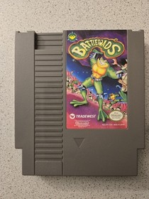Clean Works Battletoads nes Dust Cover 2 game nintendo switch double dragon 3 1