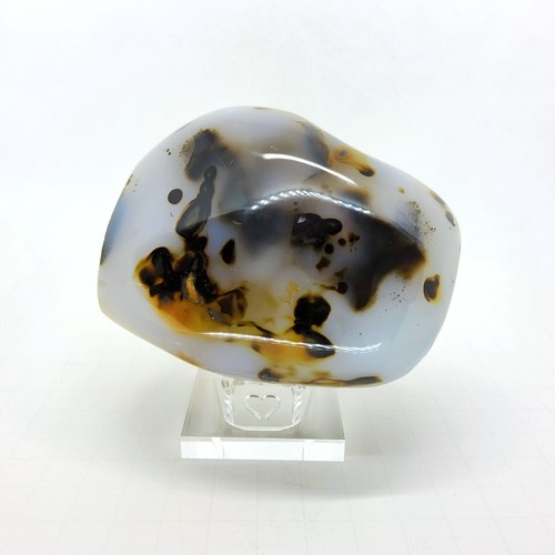 Dendritic Agate, 1.75 lbs, polished, freeform, gemstone, specimen, #R-5231 - Picture 2 of 12