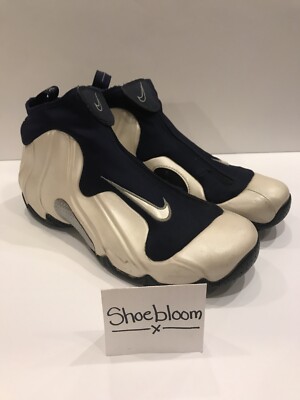 Nike Flightposite I One Zoom Air KG Kevin Garnett Minnesota Wolves PE Sz 10.5 | eBay