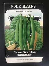 1920s Litho Antique Vintage Card Seed Co. Packet Pack Pole Beans Kentucky Wonder