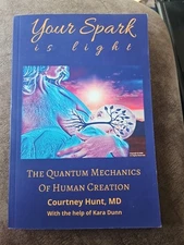 Your Spark Is Light: The Quantum Mechanics of Human Creation Excellent 