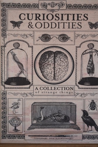 Curiosities & Oddities Apothocary Halloween Sign Gothic Edward Gorey Style Art - Picture 2 of 17