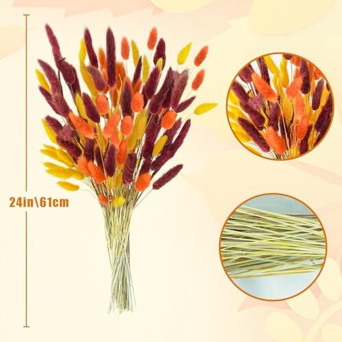 240 Pcs Natural Bunny Tails Dried Flowers 17’’ Dried Lagurus Ovatus Yellow Bu... - Picture 2 of 7