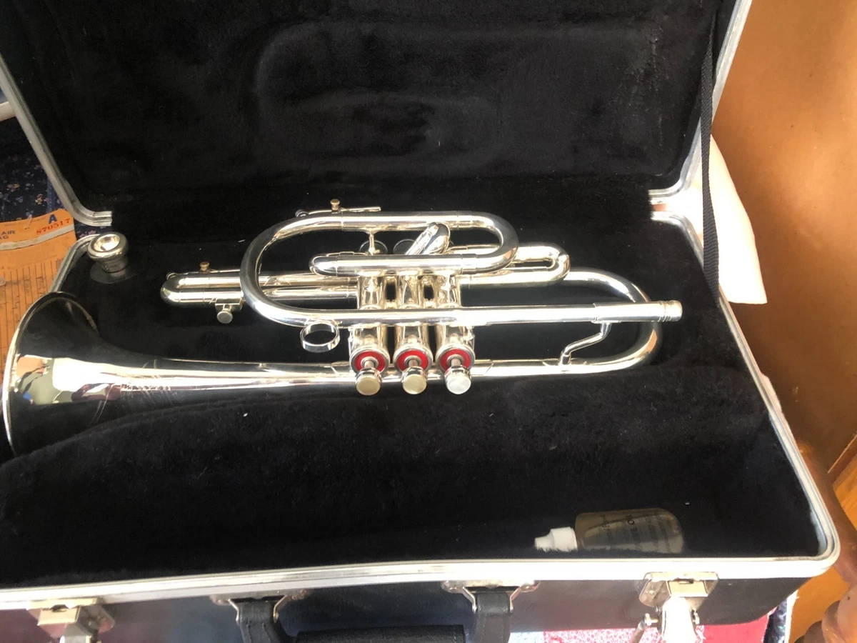 olds ambassador cornet products for sale | eBay