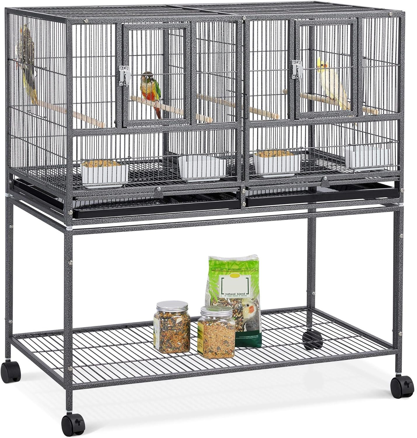 For Canaries Cockati