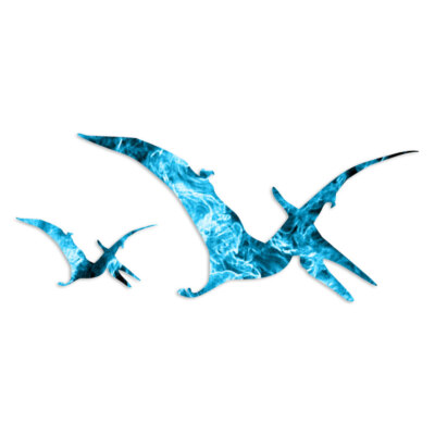 Dinosaur Pterodactyl - Decal Sticker - Multiple Patterns & Sizes - ebn7118