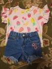 Girls Sz 12-18m Denim Embroidered Shorts And For Themed Ruffle Sleeve Top — photo 1