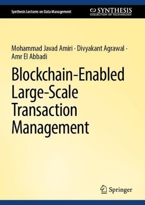 Blockchain-Enabled Large-Scale Transaction Management - 9783031910579