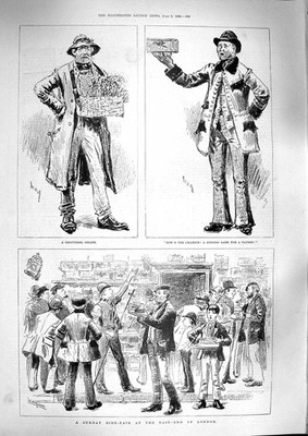 Original alter antiker Druck 1888 Vogelmesse East-End London Groundsel Verkäufer Lerche