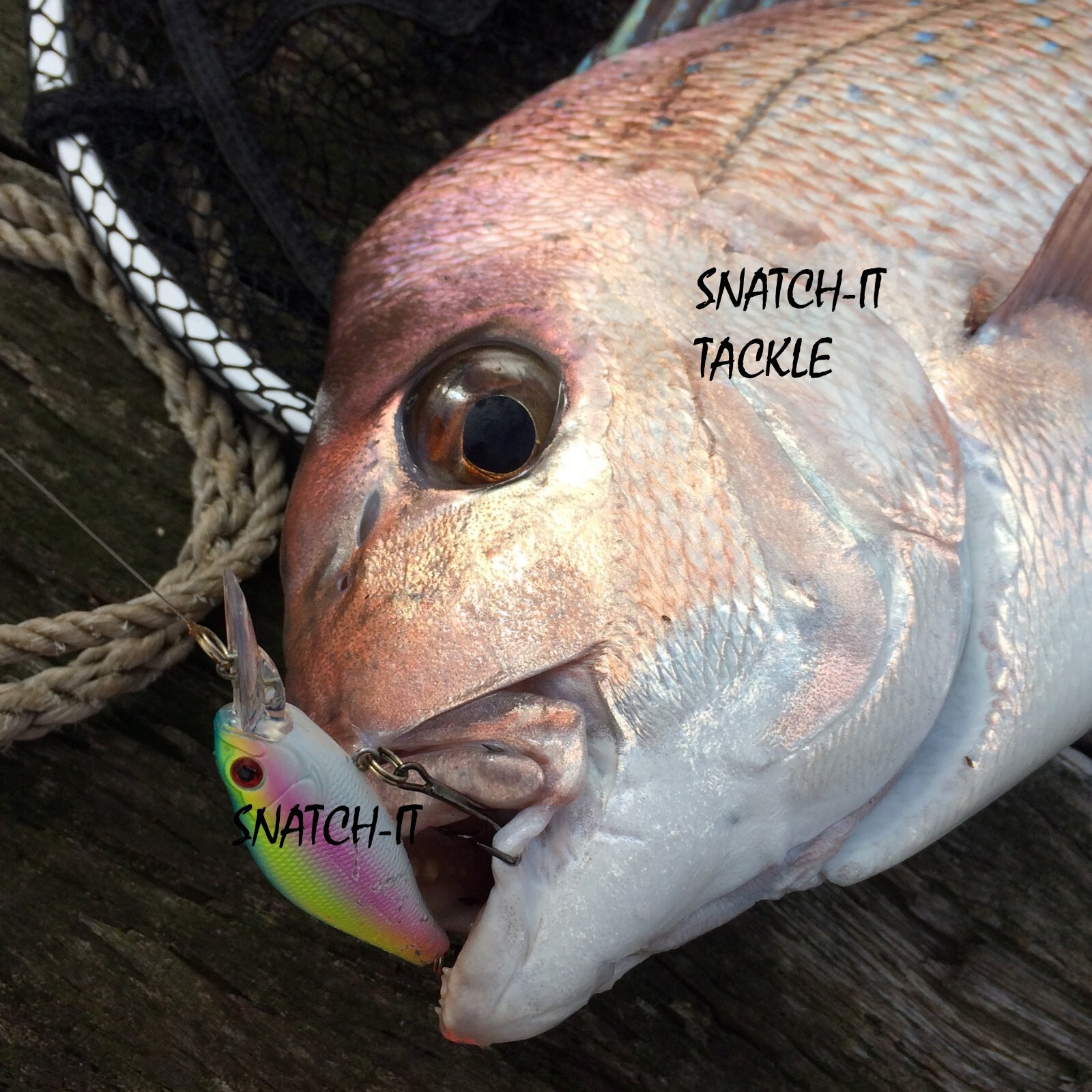 Fishing Lures Redfin & Bream Flathead, Bass, Perch, Trout ,Cod Tackle