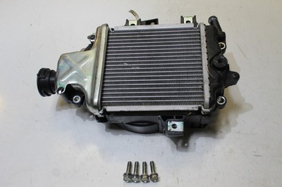 2022 Honda Adv 150 Engine Radiator Motor Cooler Cooling Radiater 19100-K97-J00