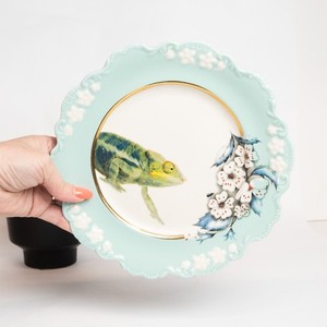 Lou Rota Plate | eBay