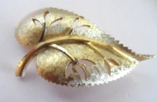 Vintage Brooch/Pin - Gold Tone TEXTURED  & SHINY LEAF