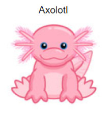 Webkinz Classic Axolotl Code Only  messaged 