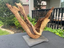 MOUNTED MOPANI WOOD AQUARIUMS FISH RIPTILES DECORATION PET SUPPLIES ART GARDEN