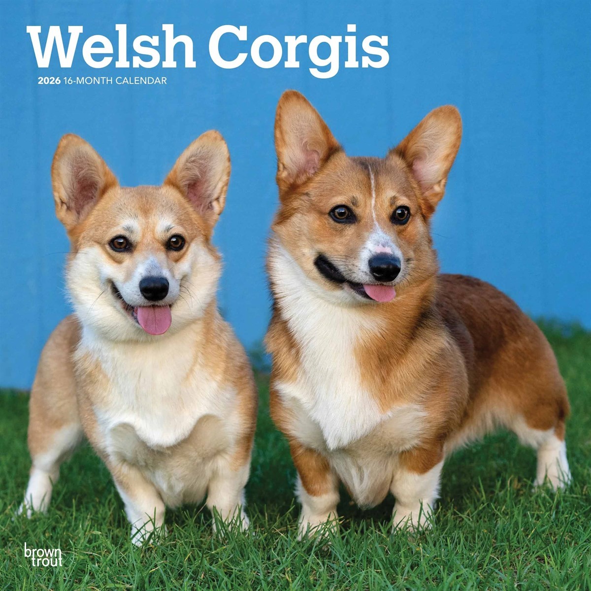 Welsh Corgis Calendar 2026, Wall Calendars, Month To View, Dogs, Gift