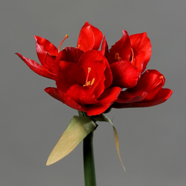 Amaryllis Real Touch 36Cm Rot Dp Kunstblumen KüNstliche Blumen Pflanzen-image
