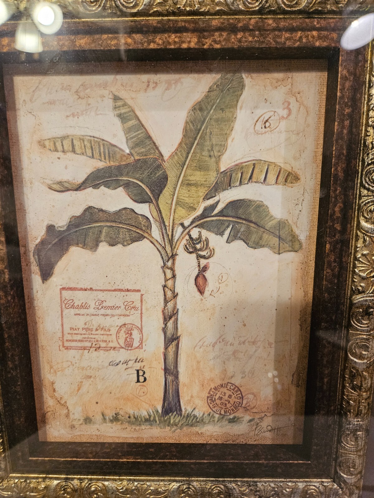 Picture 7 of 12