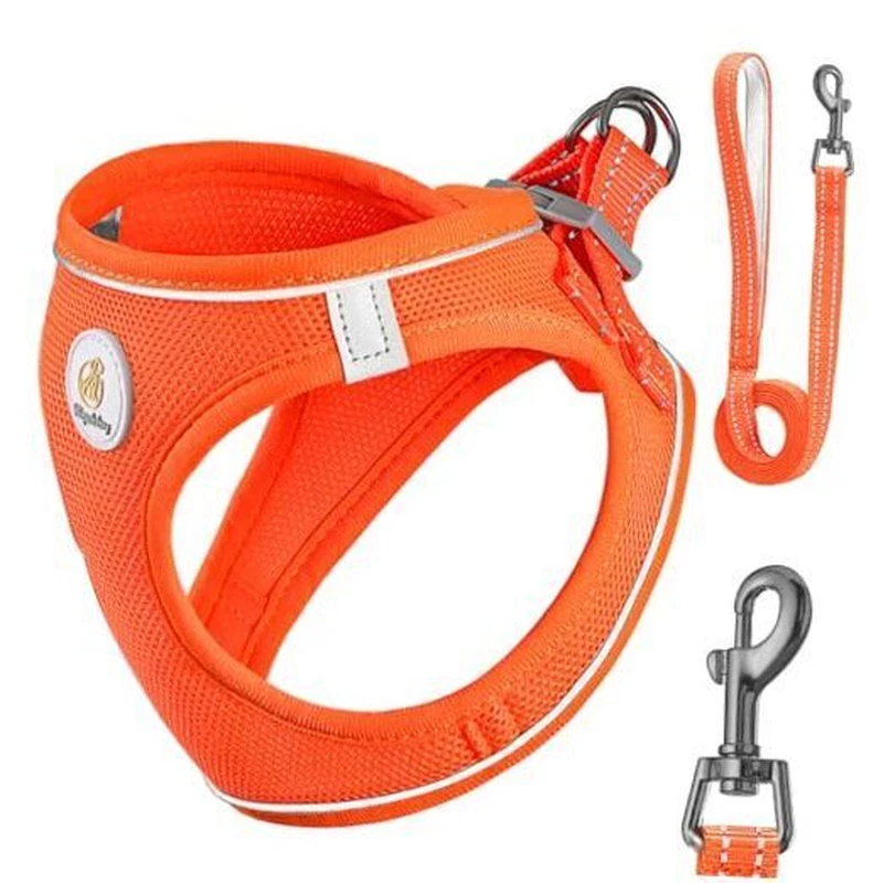 Dog Harness with Leash Set, X-S(9.5-10.5"N