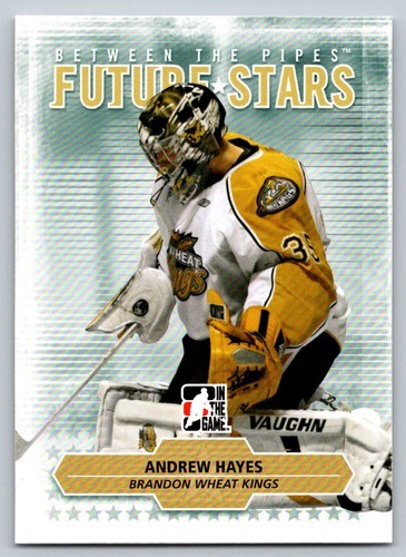 2009-10 ITG Between The Pipes - Pick From List - Picture 15 of 92