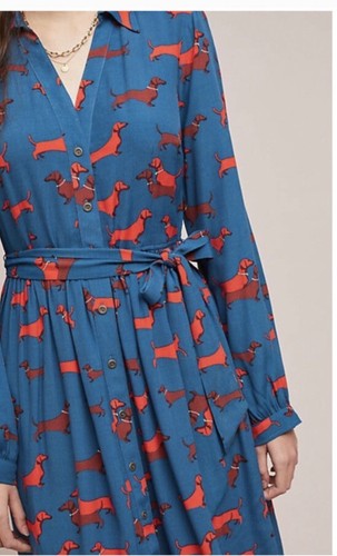 bungee leash non stop