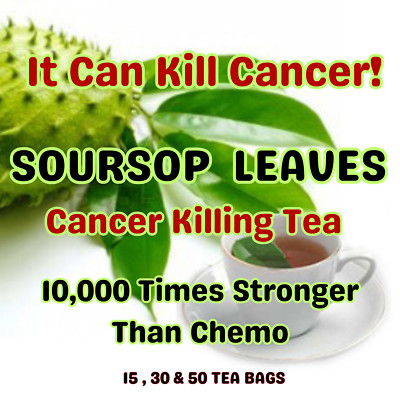 Organic Soursop Leaves Tea Bags Herbal Guanabana Graviola Annona Muricata Powder