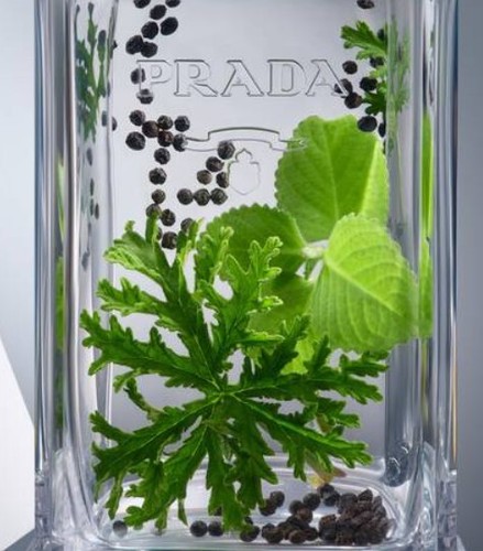 Prada L'Homme L'Eau - 100ml Eau De Toilette Spray - 第 4/5 張圖片