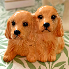 BESWICK SPANIEL PUPPIES