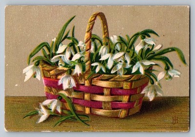 Victorian Trade Card Dr. G.S. Green's Blood Purifier & Nerve Tonic Basket