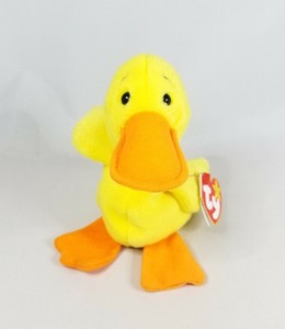 window mounted perch for cats