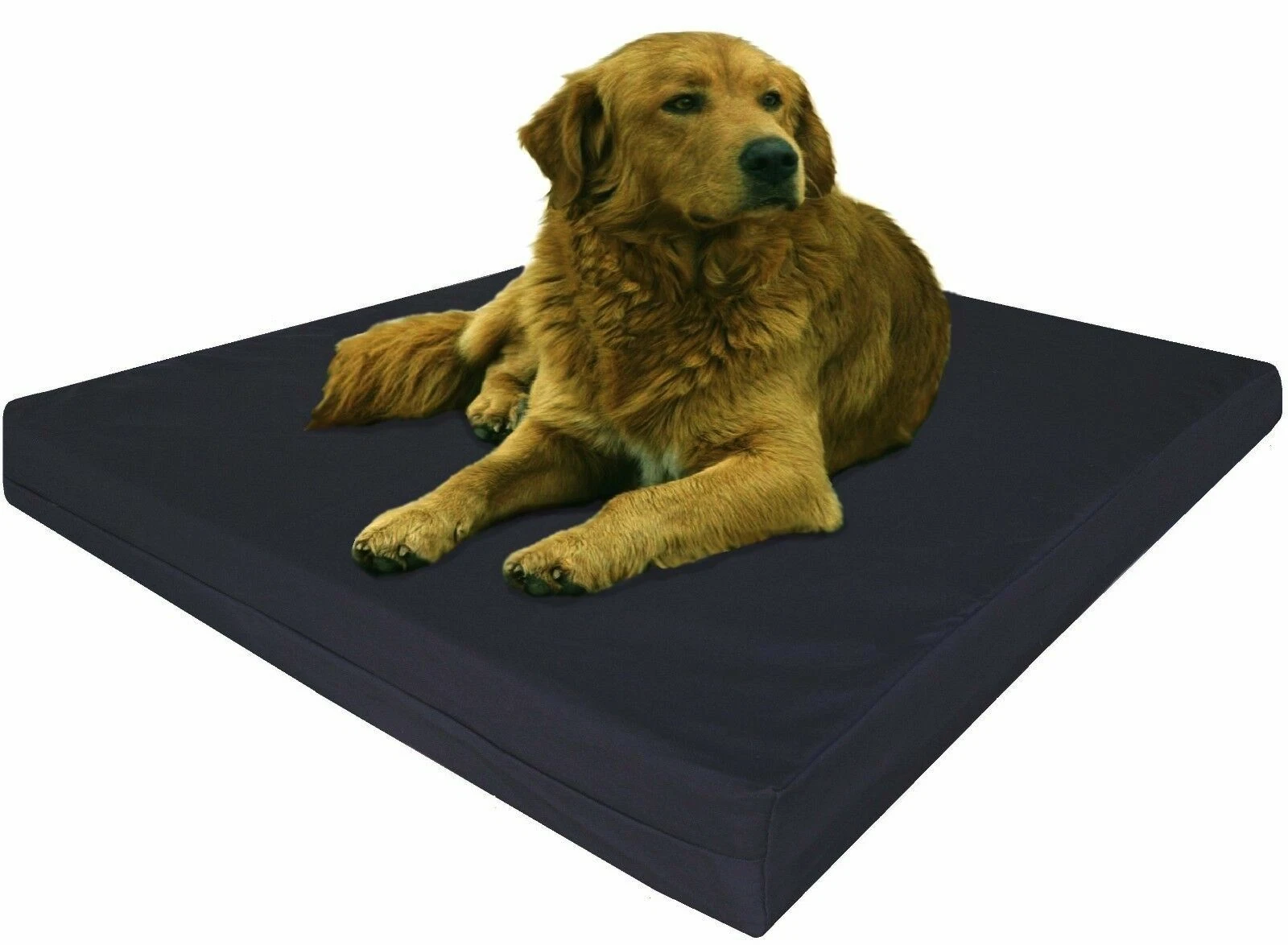 XL Extra Large Black Canvas Pet Dog Bed Orthopedic Waterproof Memory Foam 40x35
