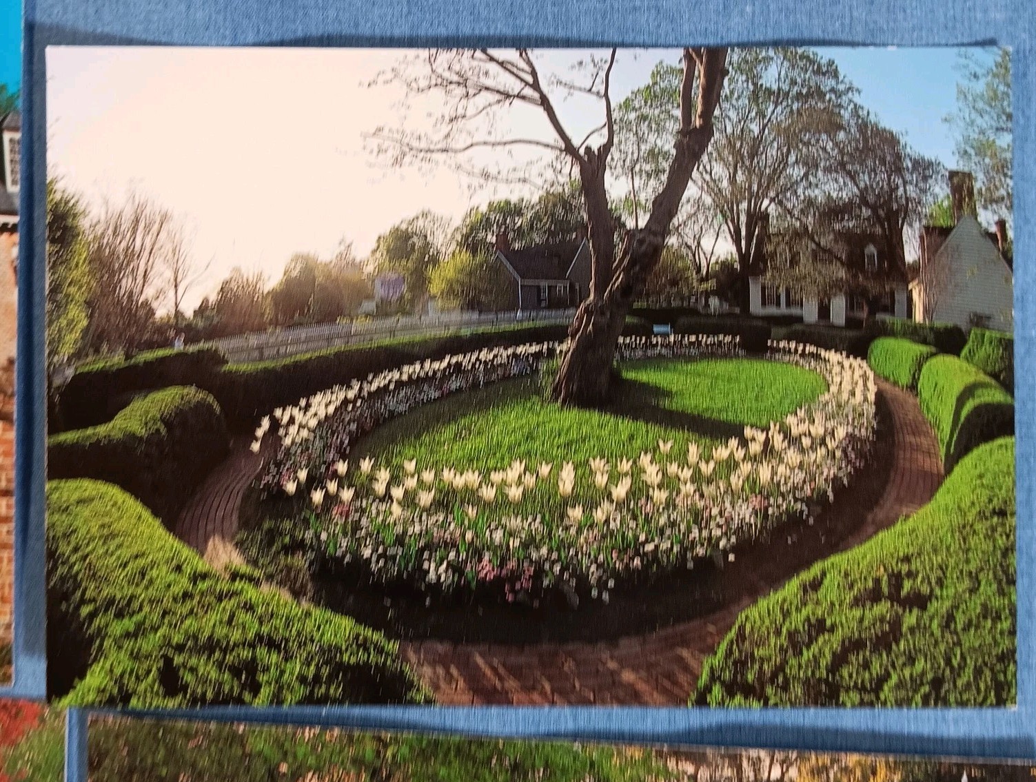 Picture 3