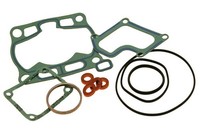 250 300 SE-R Racing / Factory - Hochmotor-Dichtungen Centauro - 1003137