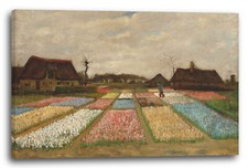 Kunstdruck Vincent van Gogh - Blumenbeete in Holland