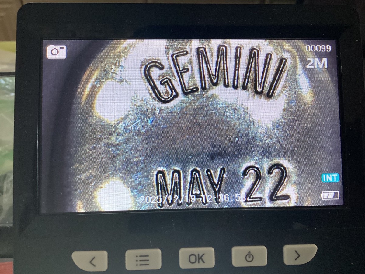 Gold Tone Fashion Zodiac Engraved "Gemini" Pediment / Charm View 6