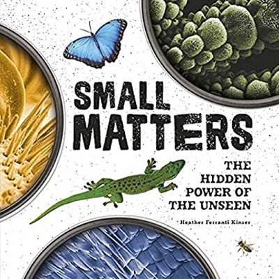 Small Matters : The Hidden Power of the Unseen Heather Ferranti K