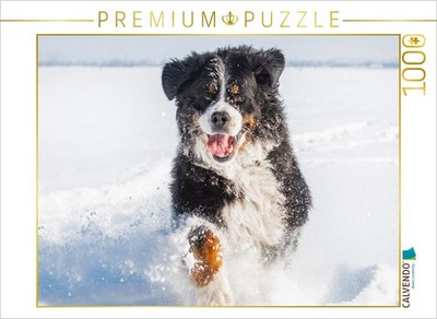 CALVENDO Puzzle Berner Sennenhund in seinem Element | 1000 Teile Lege-Größe 64x4