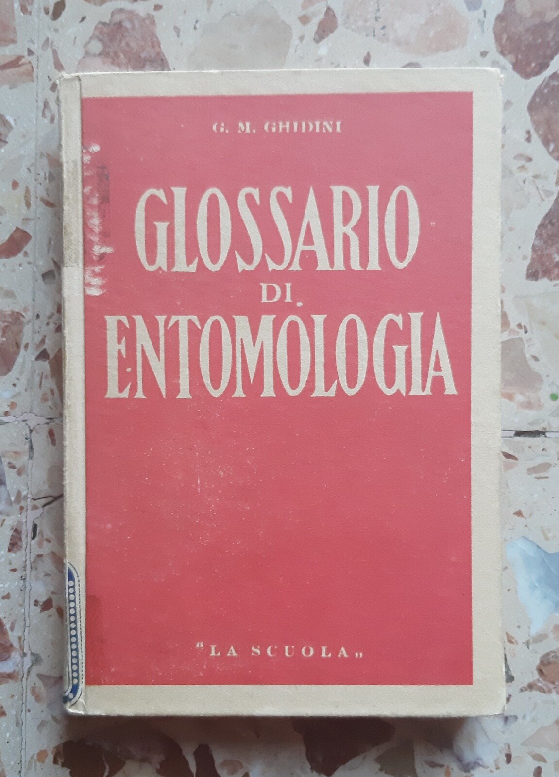 Foto 1 di 1
