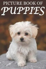 Picture Book of Puppies: Picture Book of Puppies: For Seniors with D - VERY GOOD