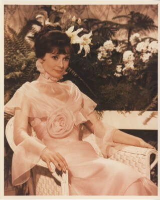 Audrey Hepburn My Fair Lady Elegant Cecil Beaton Gown Vintage 8x10 Color Photo | eBay Audrey Hepburn My Fair Lady Elegant Cecil Beaton Gown Vintage 8x10 Color Photo | eBay