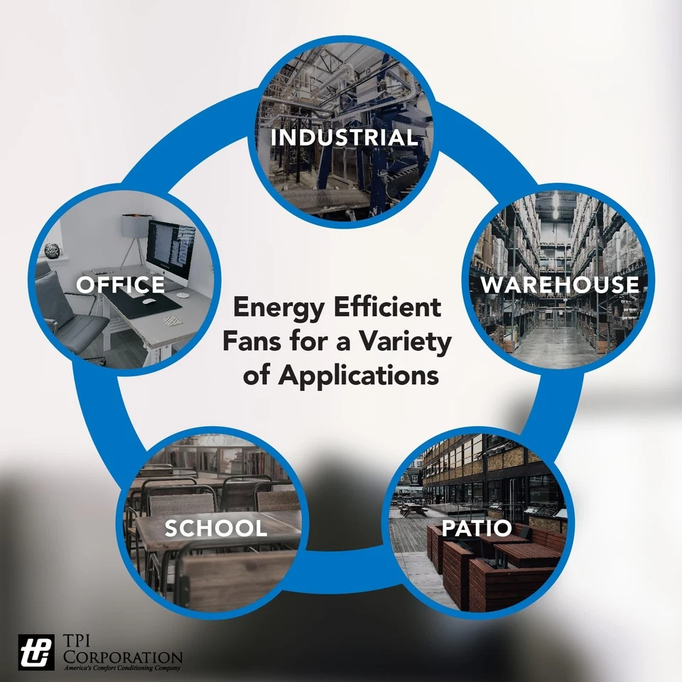 TPI Corporation D2022H10BB Double Pole Line Voltage Thermostat, Wire Leads, I... Foto 4 de 4