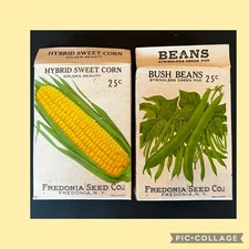 Vintage 1962 Fredonia Seed Co. Hybrid Sweet Corn/Bush Beans Empty Seed Boxes