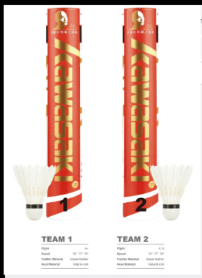 Kawasaki Team 1 Turnierklasse (BWF) und Team 2 Feder Shuttles