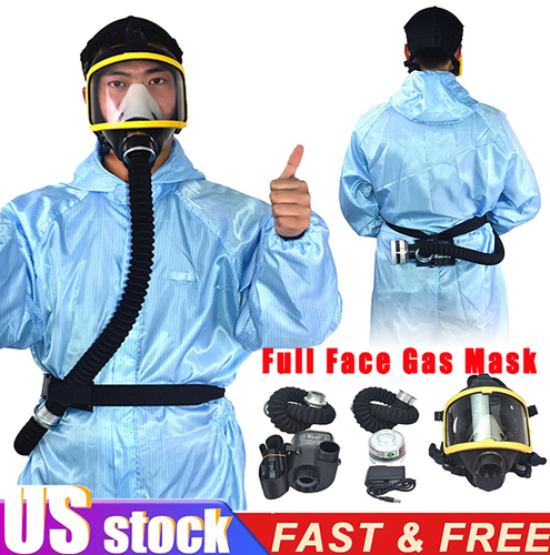 Flow Respirator Full Face Gas Mask Electric Supplied Air Fed Flow ...