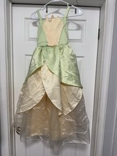 Disney s The Princess and the Frog Princess Tiana Halloween Costume Dress/Crown