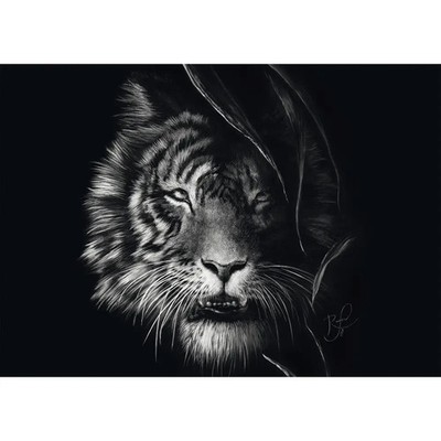 Schmidt Spiele Puzzle 1000 Teile A.Rader Wilderness, Tiger, Im Zeichen der Freih