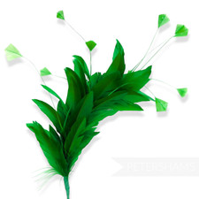 Stripped Diamond Coque & Goose