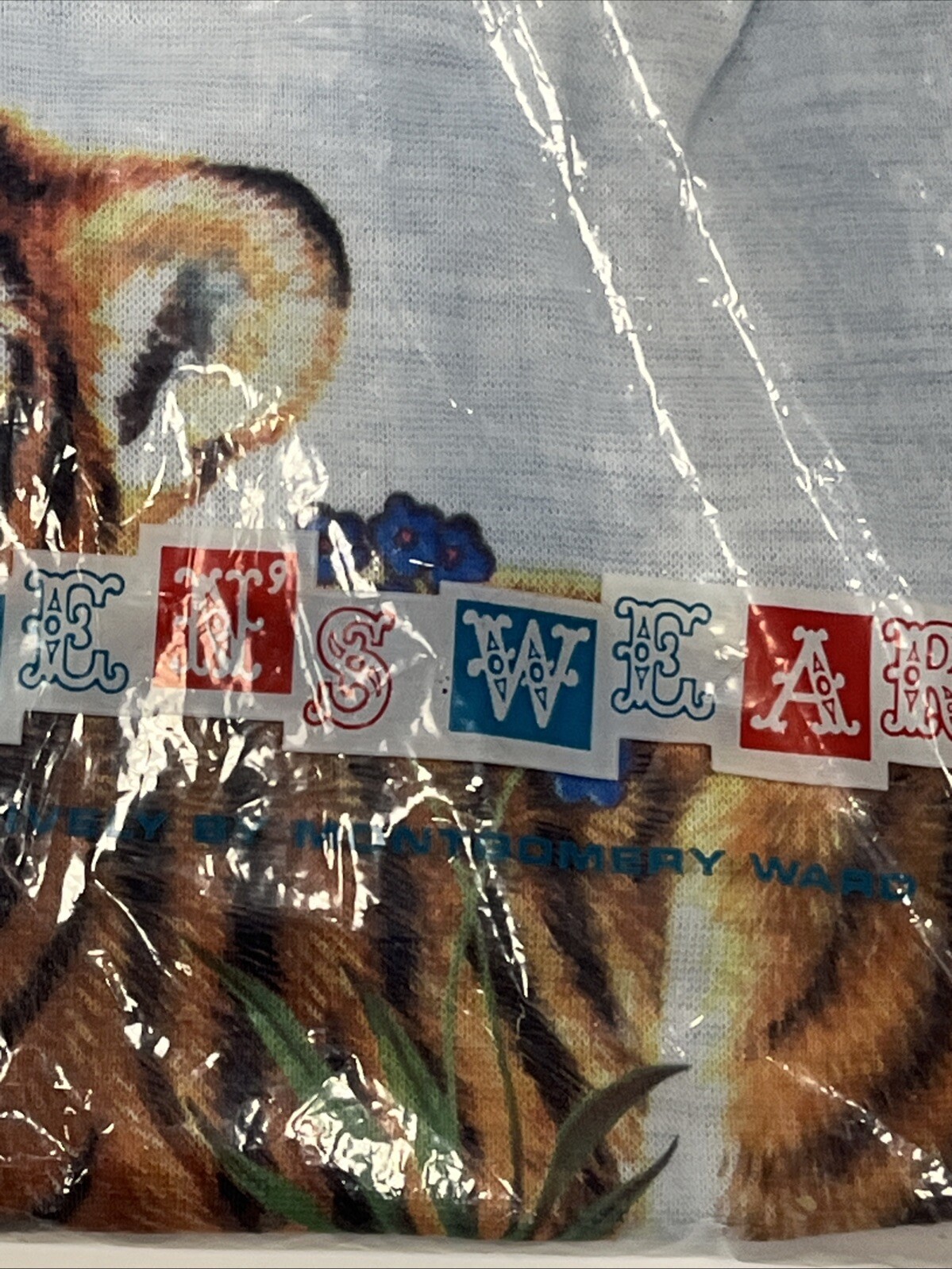 Picture 4 of 8