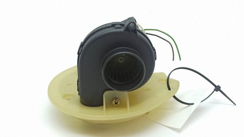 Engine control module fan