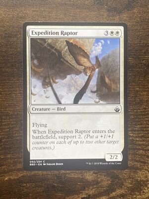 Expedition Raptor 092/254 Battlebond MTG Magic The Gathering D7803* | eBay